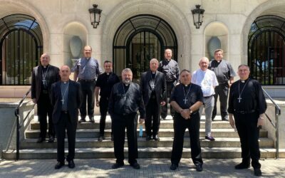 Reunión de la Comisión Episcopal de Laicos, Familia y Vida en Madrid