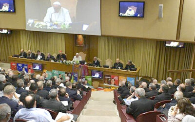 El próximo sínodo de los Obispos, convocado para el 2023, comenzará en las Diócesis