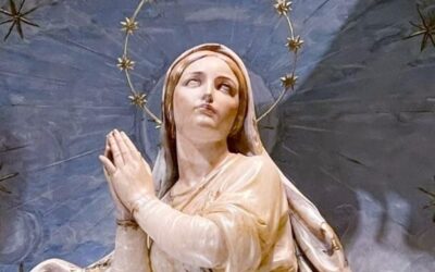 Els bisbes parlen de la solemnitat de la Immaculada Concepció de la benaurada Verge Maria