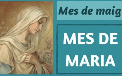 Els bisbes parlen del mes de Maria
