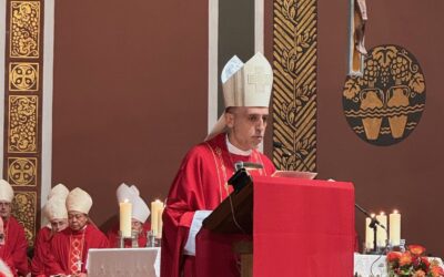 Ordenació del nou bisbe de Sant Feliu de Llobregat